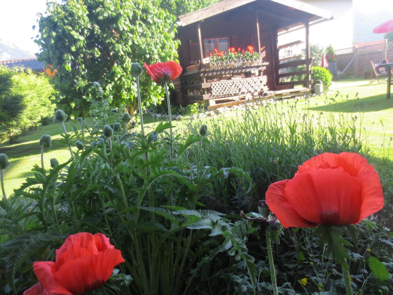 Hotel Alp Inn - Chiemgaukarte Inclusive Ruhpolding Exterior foto
