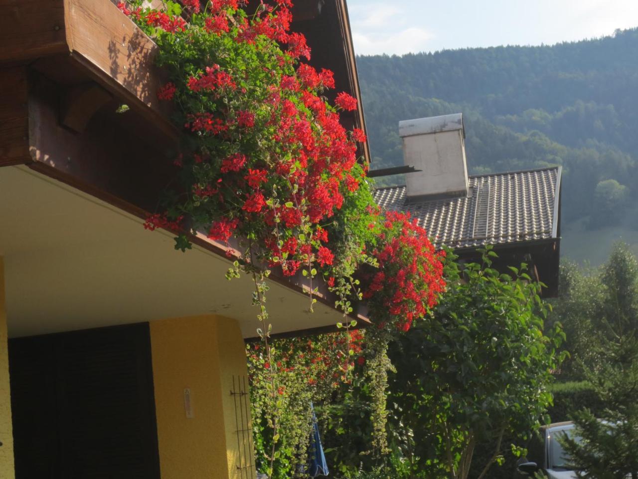 Hotel Alp Inn - Chiemgaukarte Inclusive Ruhpolding Exterior foto